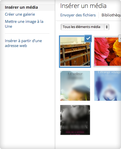 Administration WordPress — Galerie media